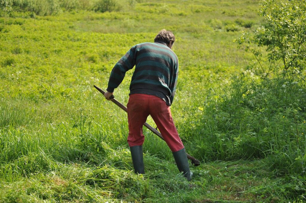 mowing, grass, field-1532931.jpg